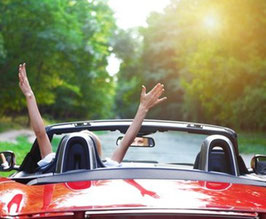 Convertible Top Cleaner