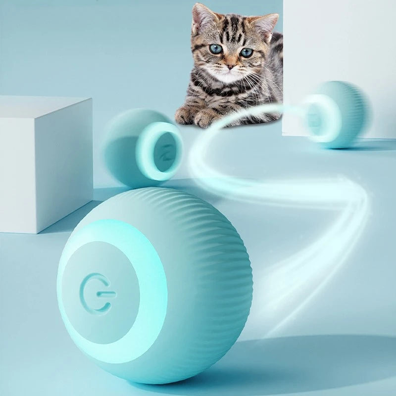 Katzenball Spielzeug elektisch